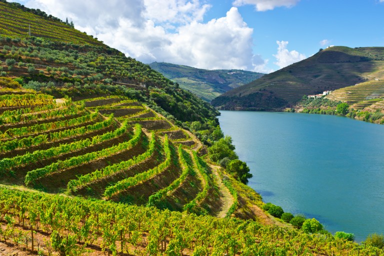 portugal vineyard tours