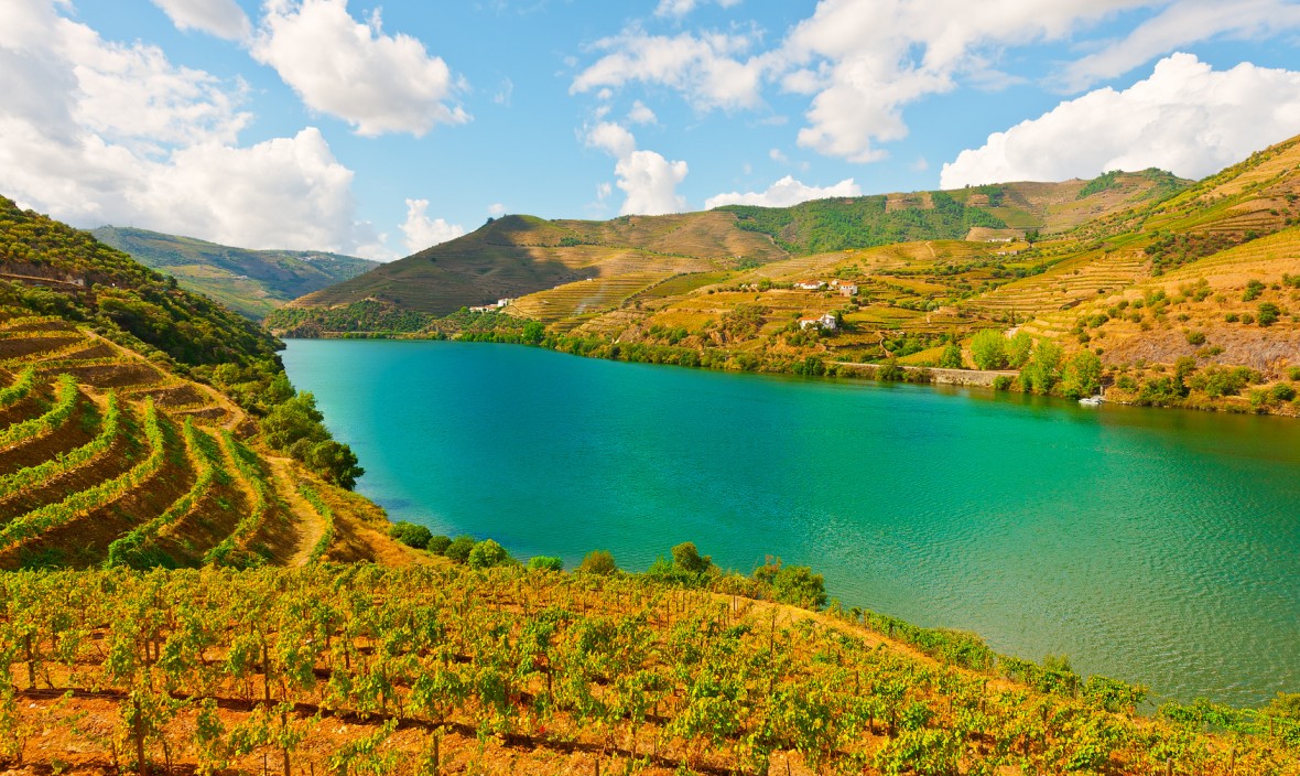 Vineyards in the Valley of the River Douro, Portugal. Private Tour