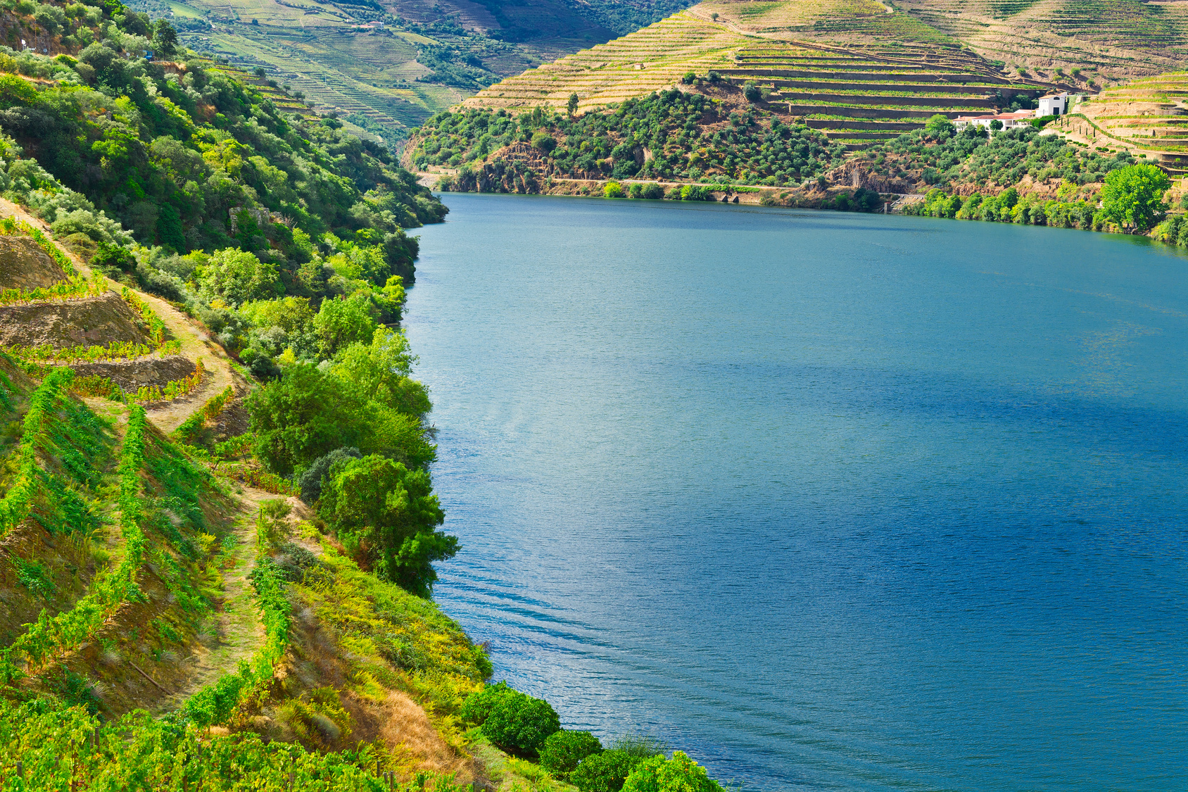 Douro Valley tours, wine tours, day trips and river cruises from the Portugal experts