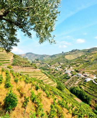Douro valley tours for wine lovers