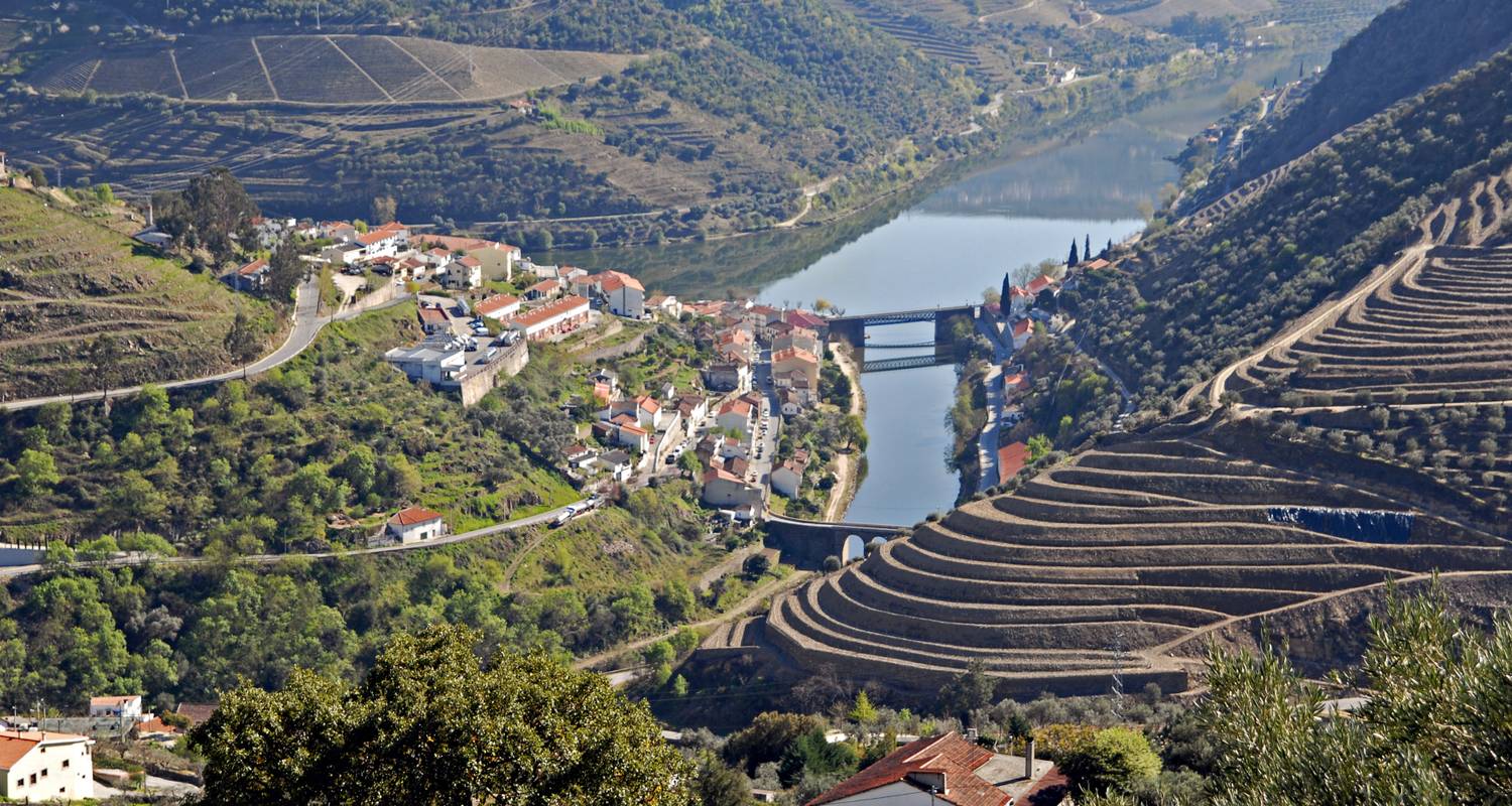 luxury douro valley tours