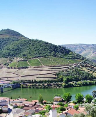 Douro River Tour 2024