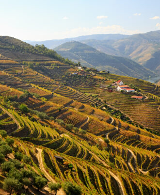 8 Day Picturesque Tour of Douro