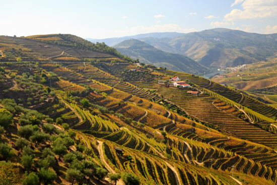 8 Day Picturesque Tour of Douro