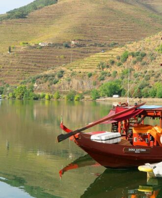 Cycling Experience of the Douro Valley