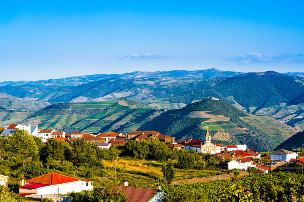 Heavenly Douro Featuring Porto and Regua Douro Valley Tours