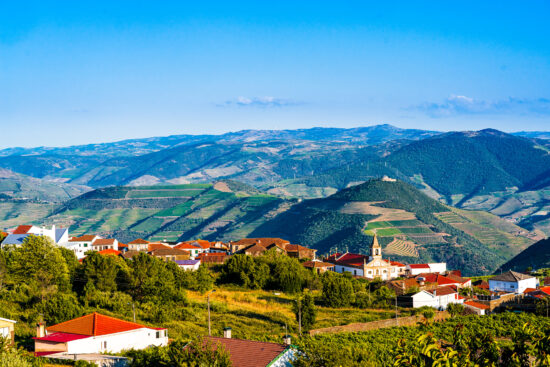 Heavenly Douro Featuring Porto and Regua
