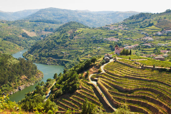 Port to Port Cruise Including Scenic Hike in Porto and Salamanca