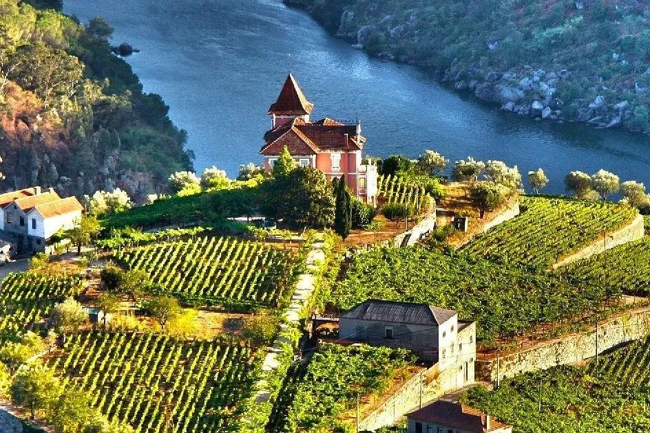 3-Day Premium Porto & Douro Valley Tour from Lisbon